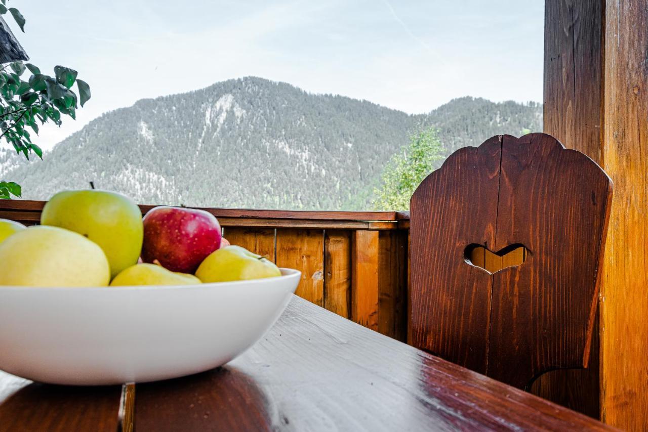 Apartment Dolomites Nest San Martino in Badia Eksteriør billede